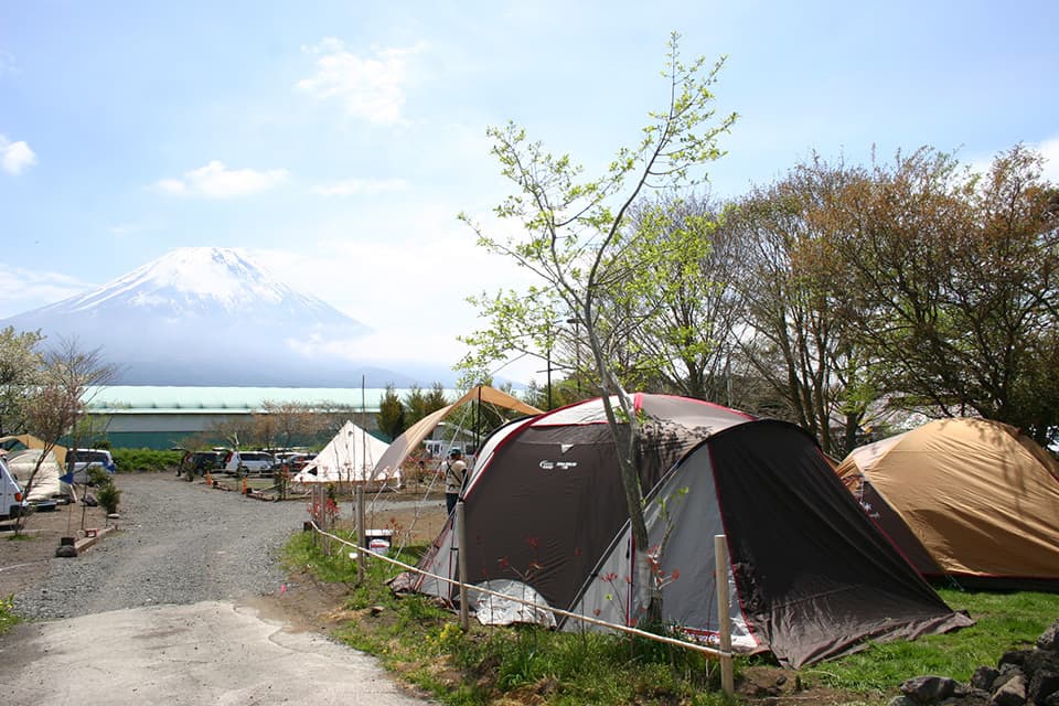 富士山が見えるアーバンキャンピング朝霧宝山のキャンプ場全体写真１